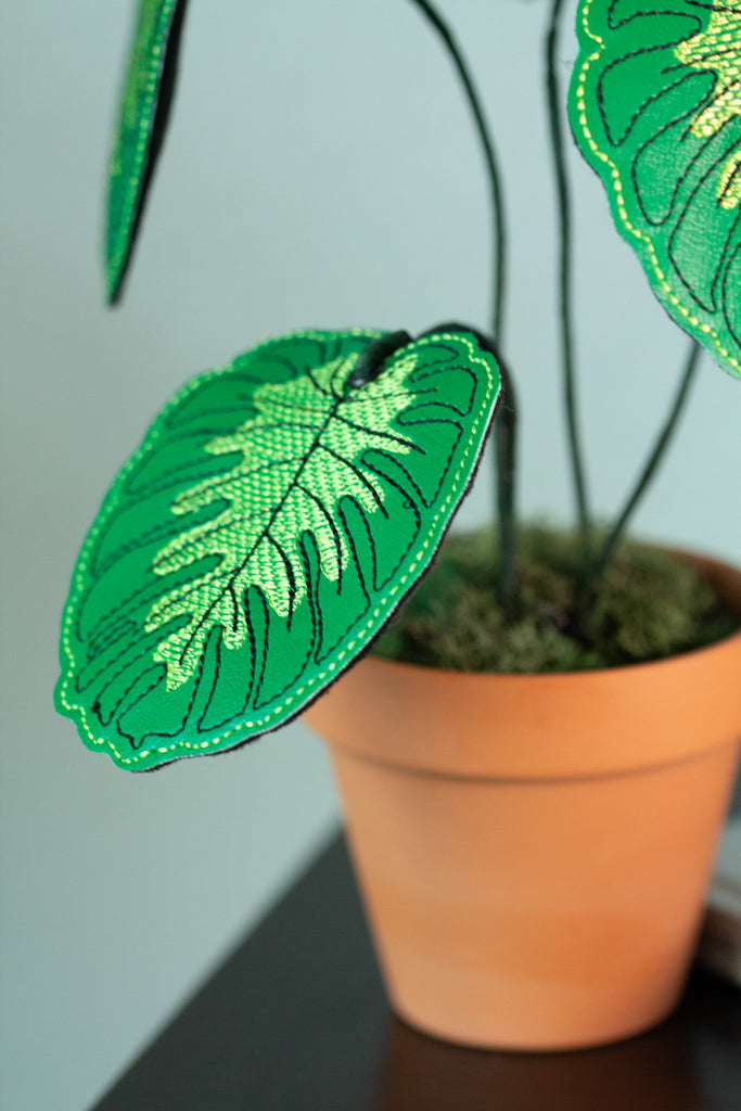 Monstera Leaf Coaster Planter