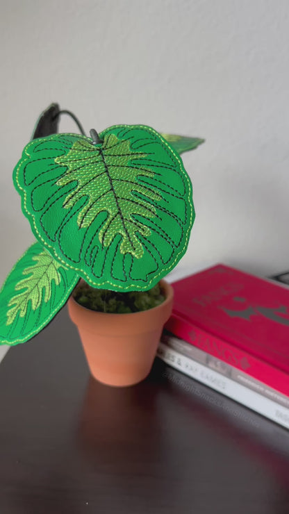 Monstera Leaf Coaster Planter